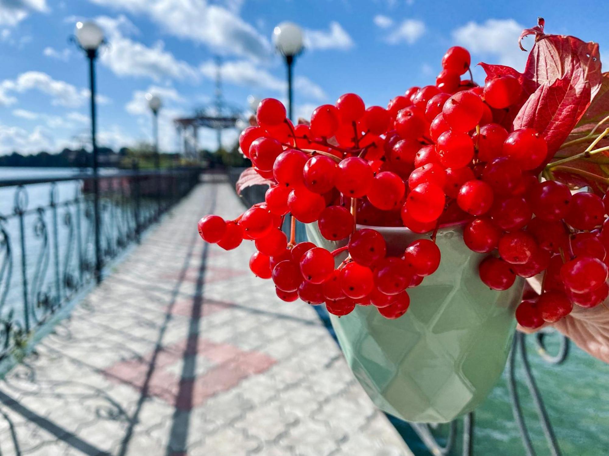 Санаторій Червона Калина Zhobryn Buitenkant foto